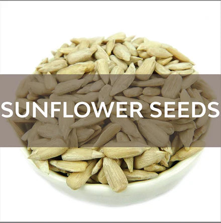 Sunflower Seeds  1 review